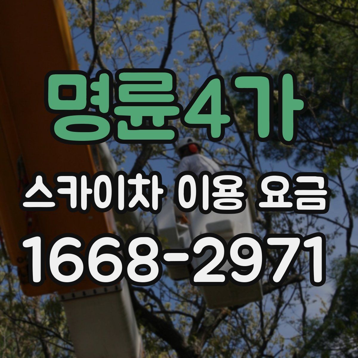 명륜4가 스카이차 이용 요금 책정에 영향을 주는 설치 환경