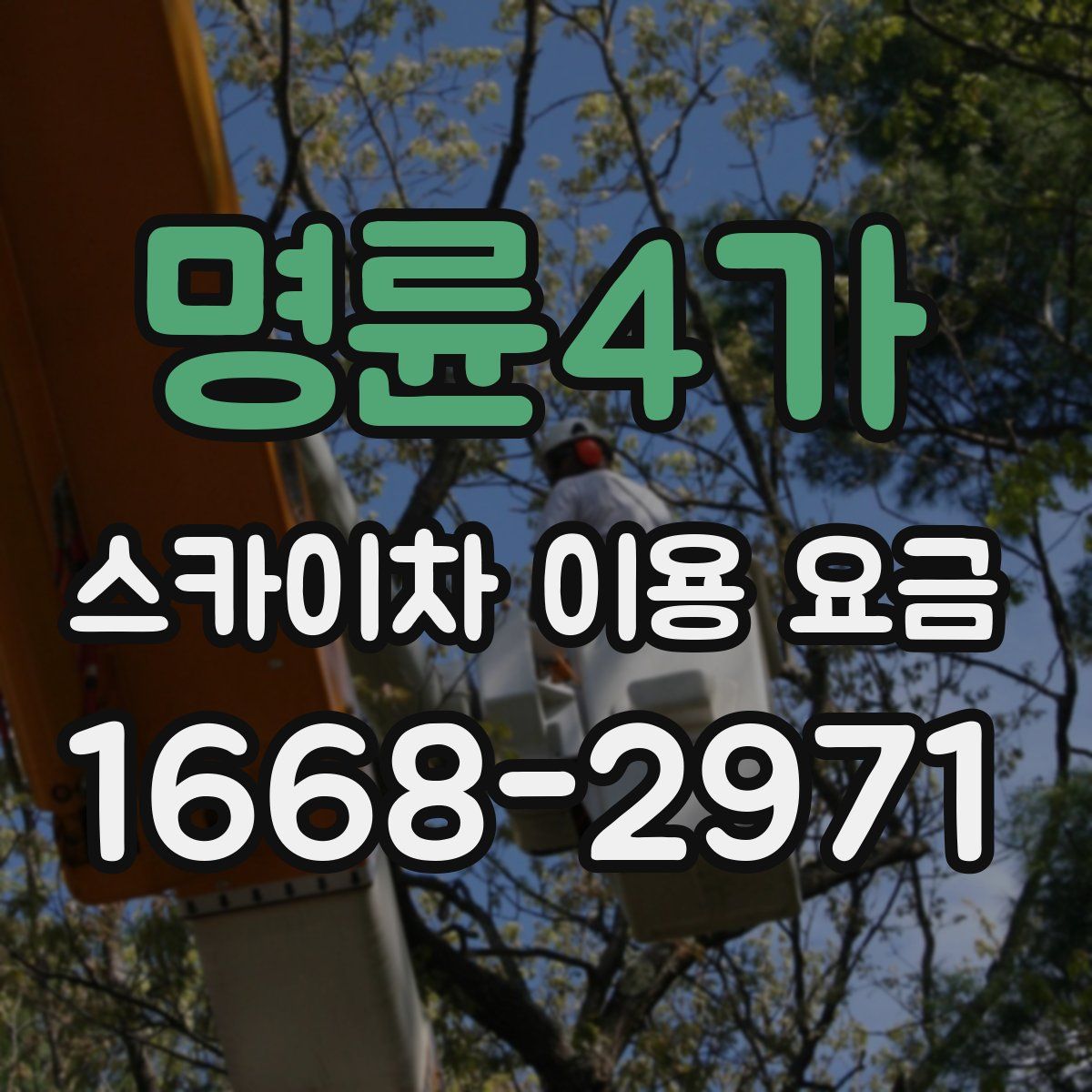 명륜4가 스카이차 이용 요금
