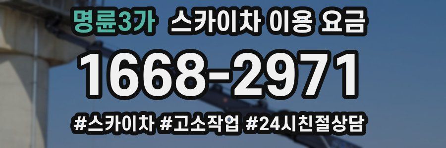 명륜3가 스카이차 이용 요금