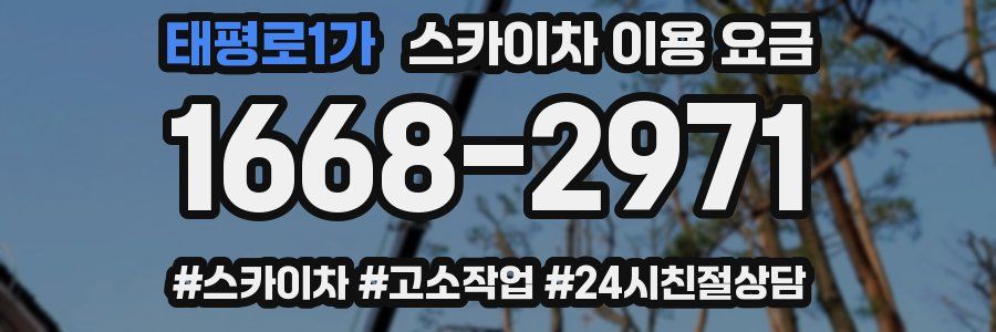 태평로1가 스카이차 이용 요금
