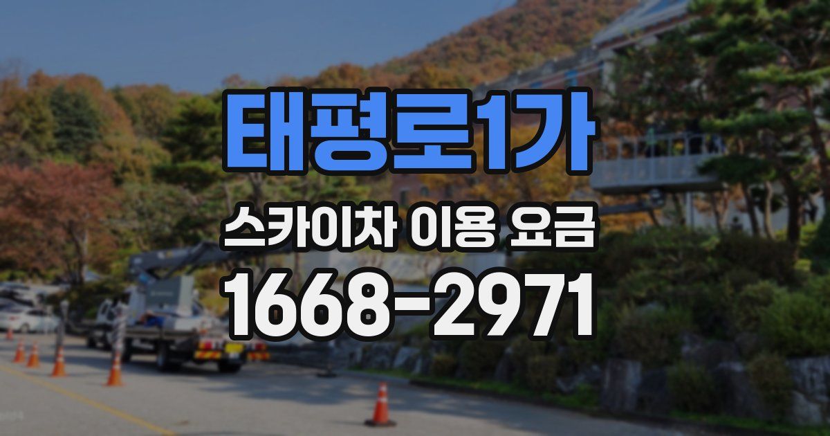 태평로1가 스카이차 이용 요금