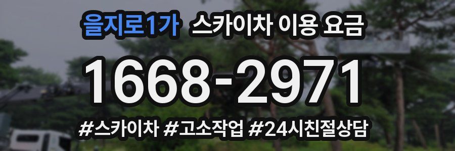 을지로1가 스카이차 이용 요금