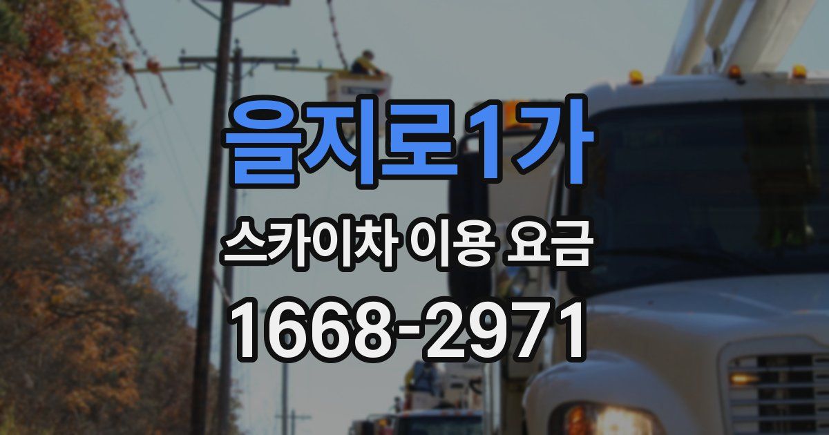 을지로1가 스카이차 이용 요금