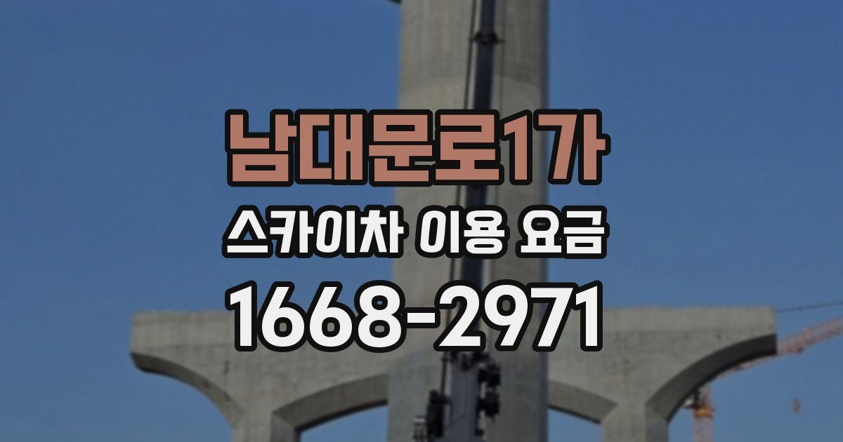 남대문로1가 스카이차 이용 요금