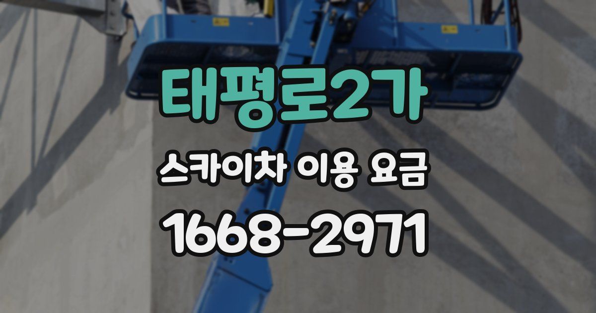 태평로2가 스카이차 이용 요금