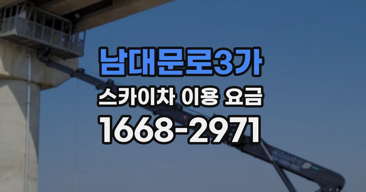 남대문로3가 스카이차 이용 요금