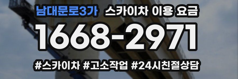 남대문로3가 스카이차 이용 요금
