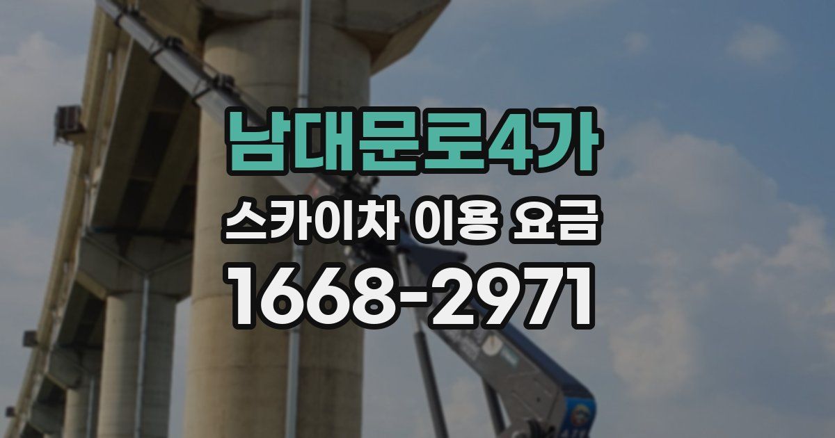 남대문로4가 스카이차 이용 요금
