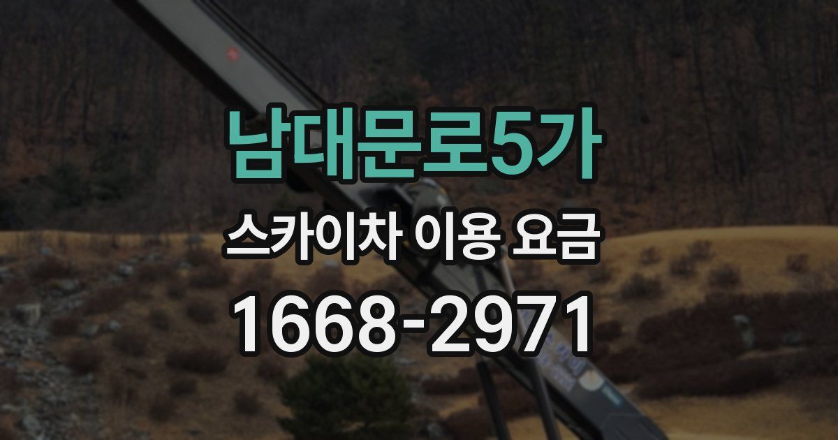 남대문로5가 스카이차 이용 요금