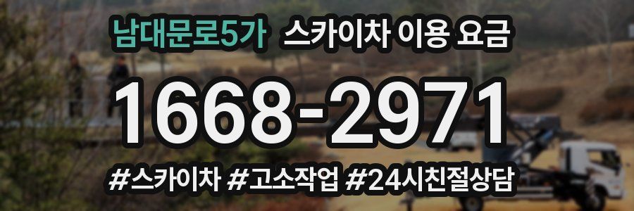 남대문로5가 스카이차 이용 요금