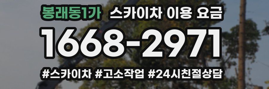 봉래동1가 스카이차 이용 요금