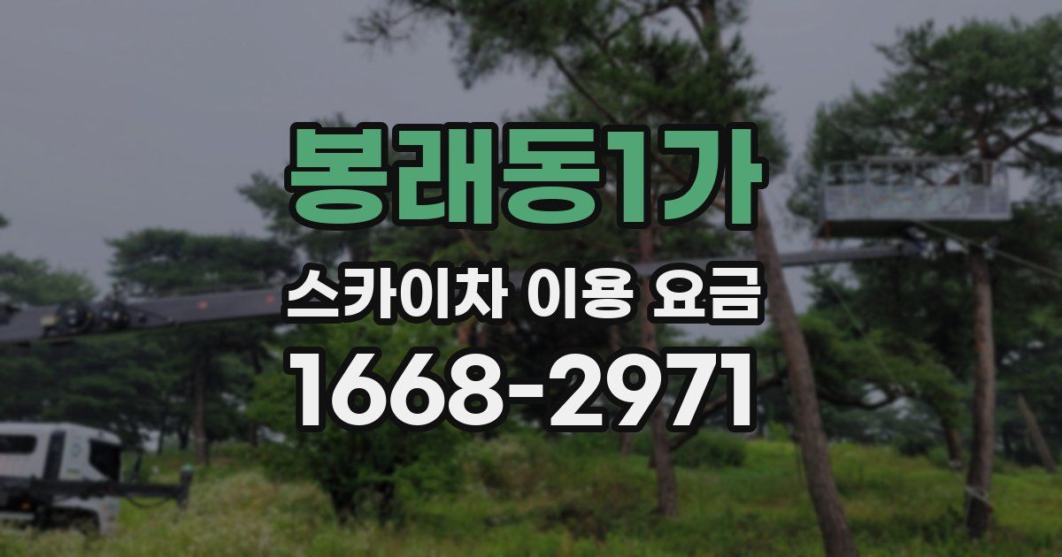 봉래동1가 스카이차 이용 요금