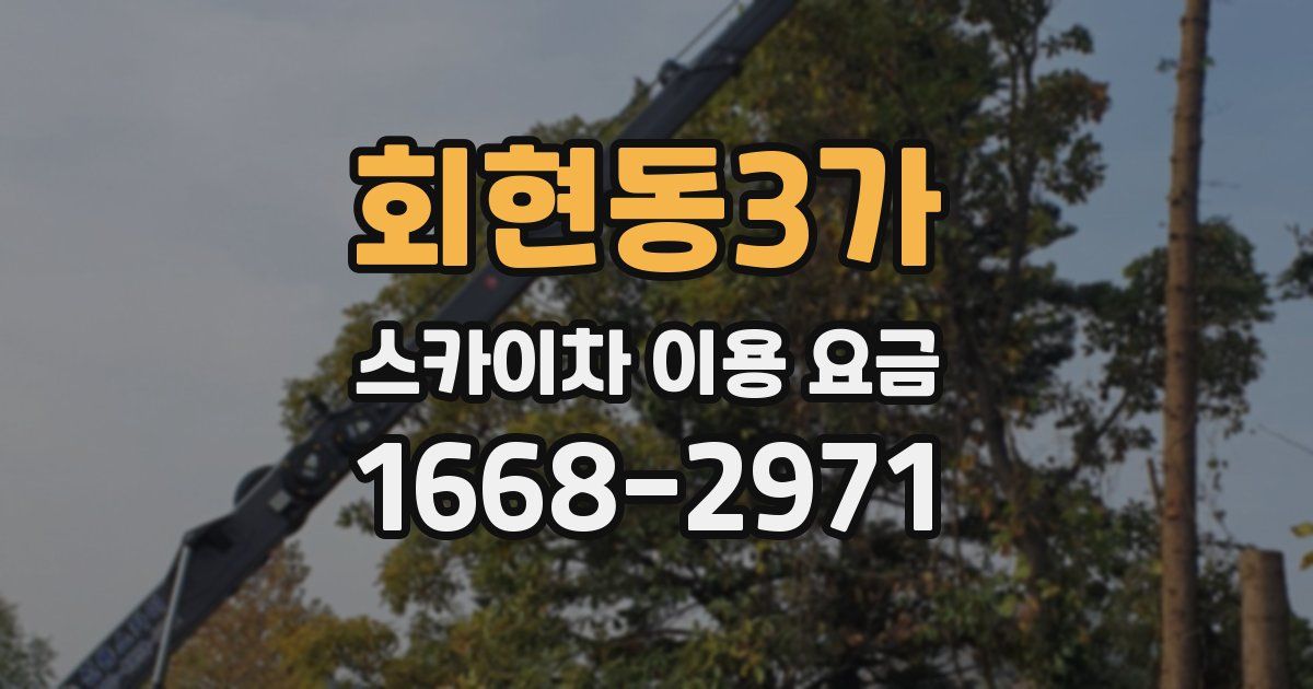 회현동3가 스카이차 이용 요금
