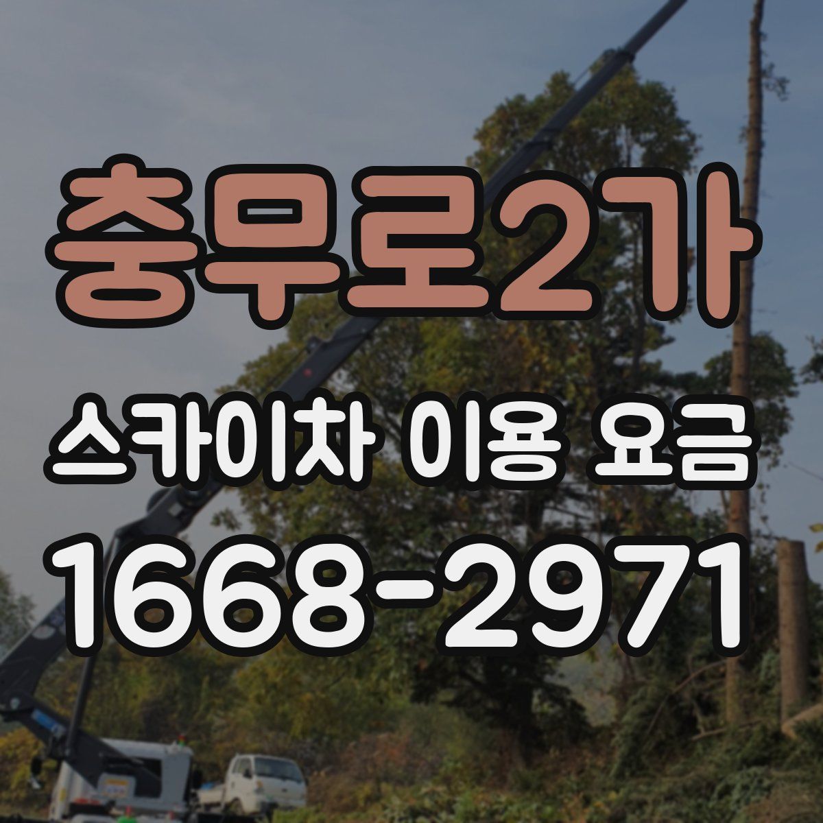 충무로2가 스카이차 이용 요금