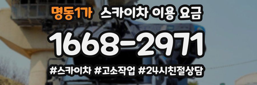 명동1가 스카이차 이용 요금