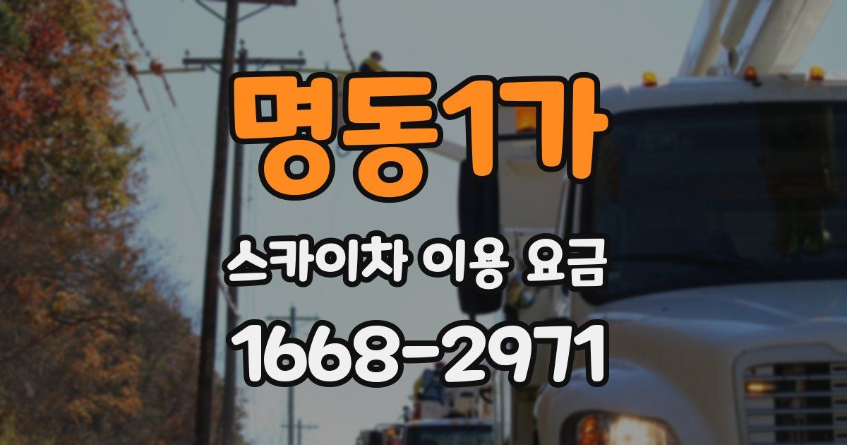 명동1가 스카이차 이용 요금