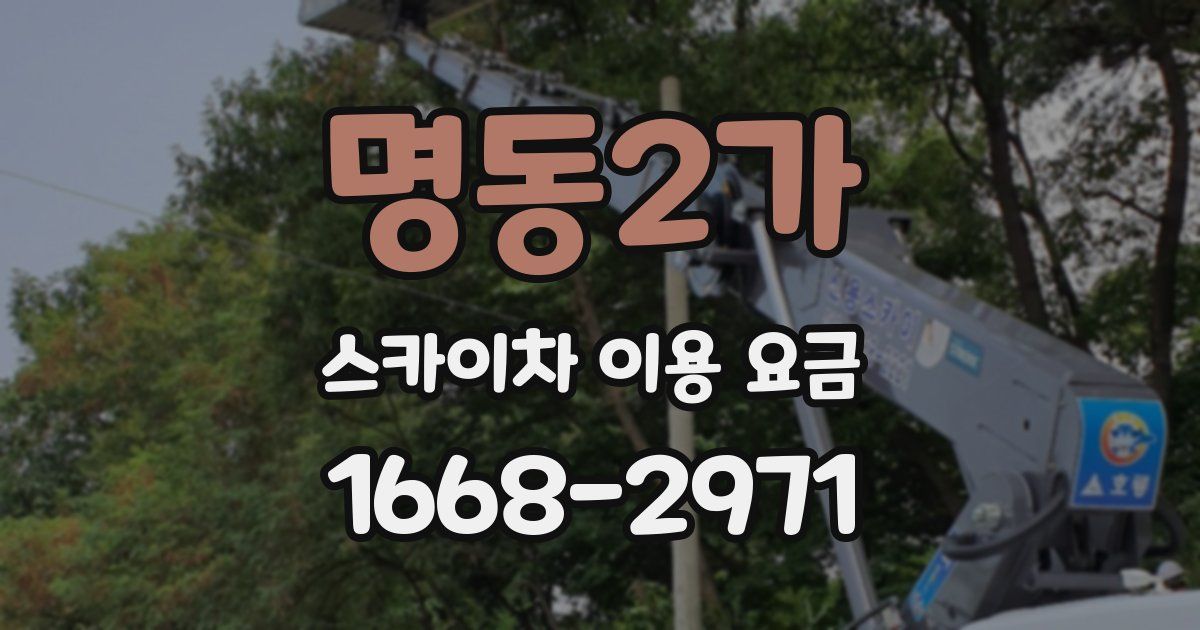 명동2가 스카이차 이용 요금