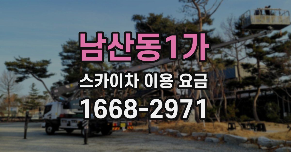남산동1가 스카이차 이용 요금