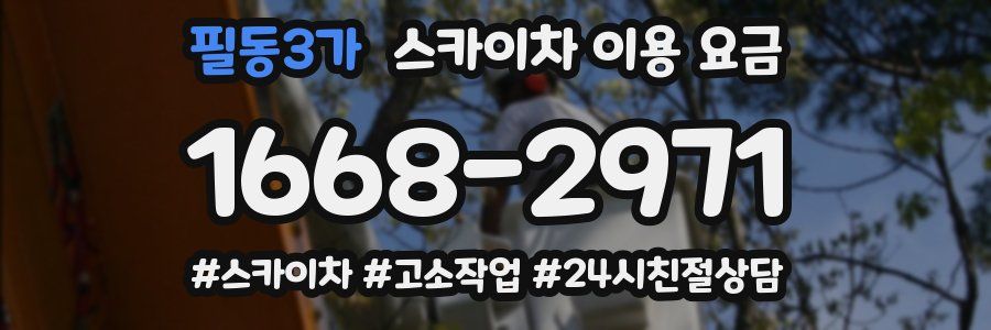 필동3가 스카이차 이용 요금