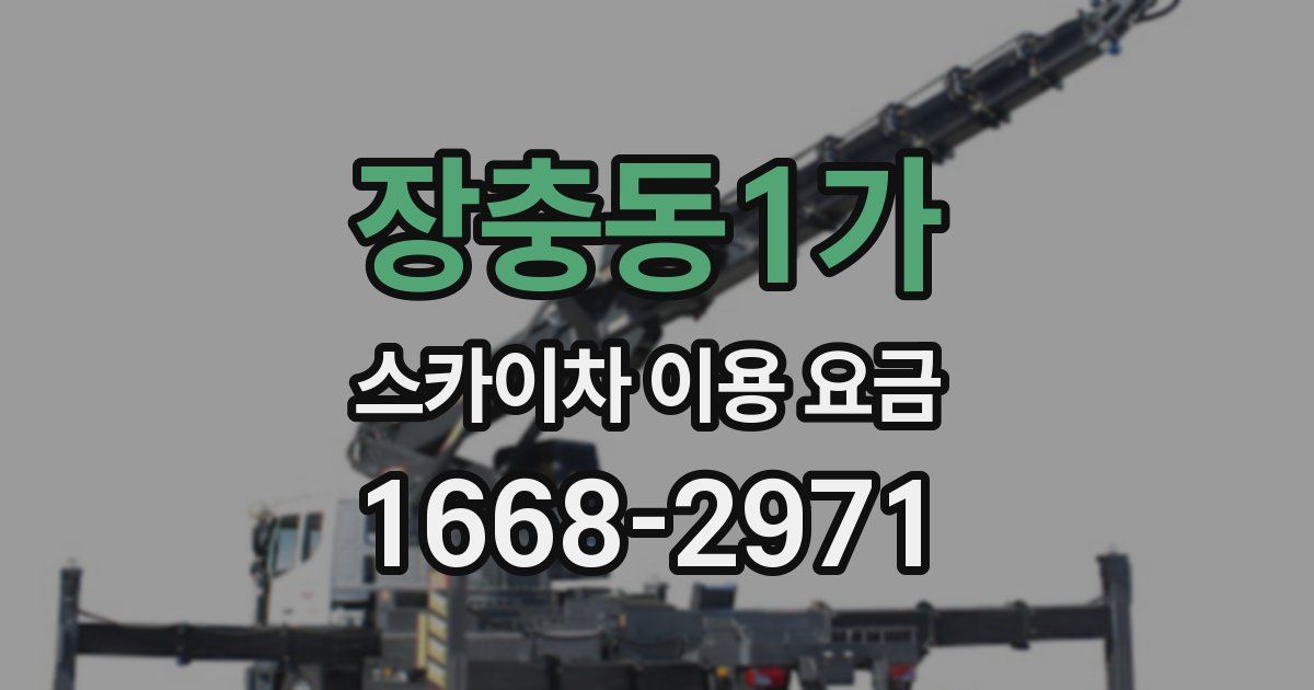 장충동1가 스카이차 이용 요금