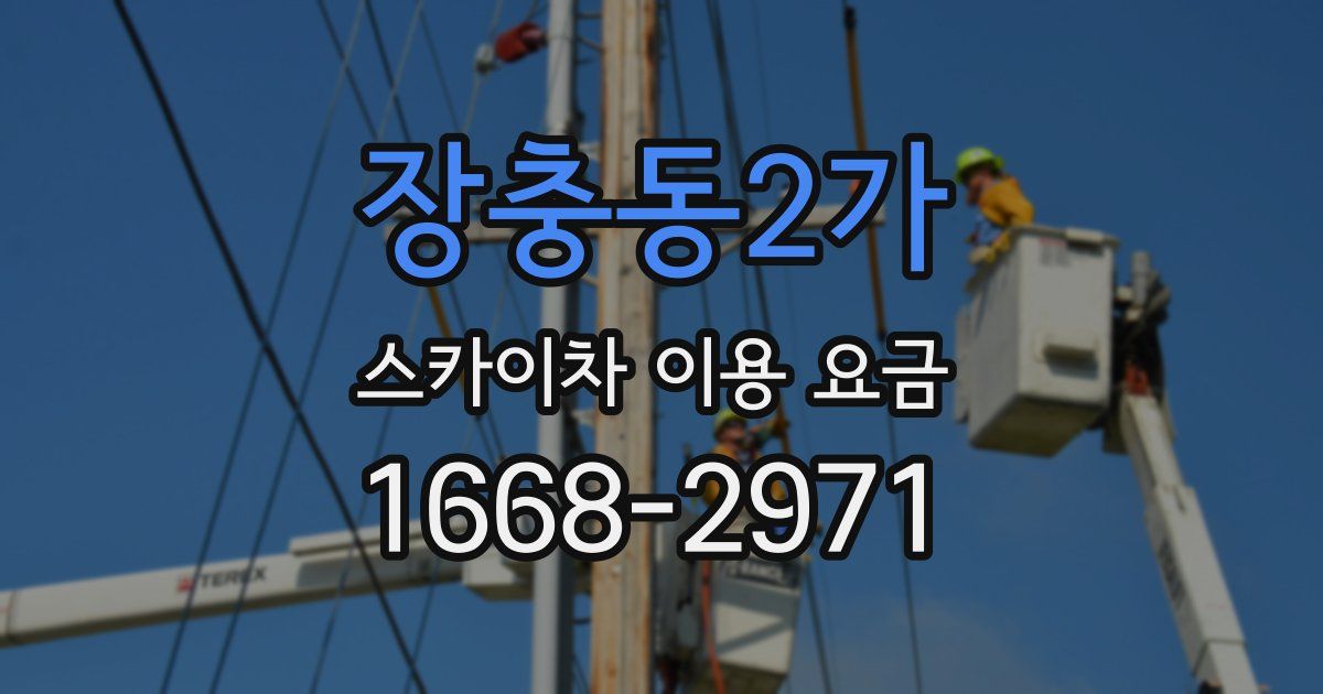 장충동2가 스카이차 이용 요금