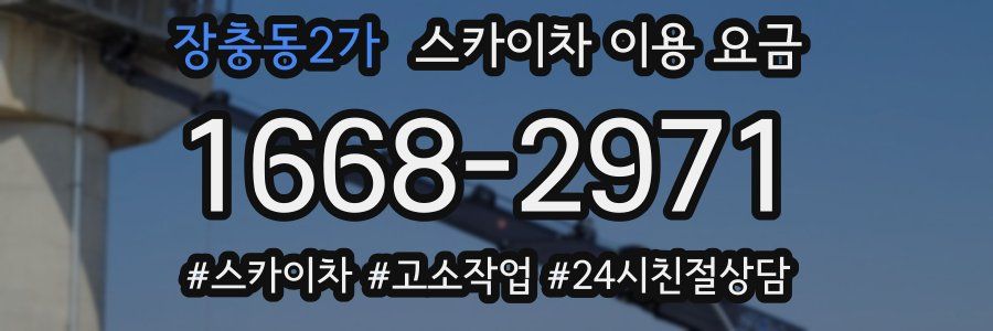 장충동2가 스카이차 이용 요금