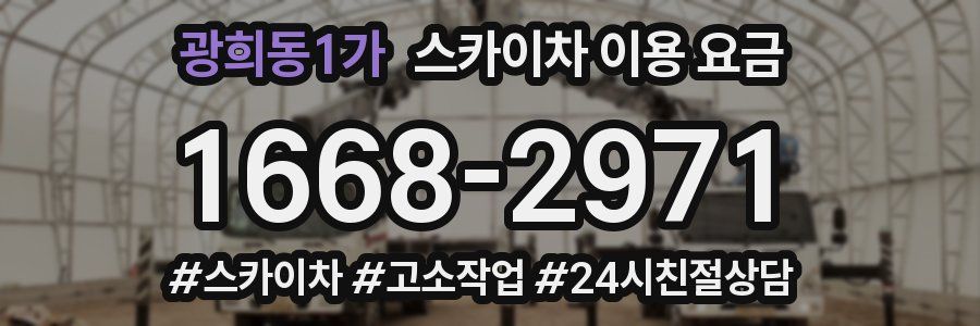 광희동1가 스카이차 이용 요금