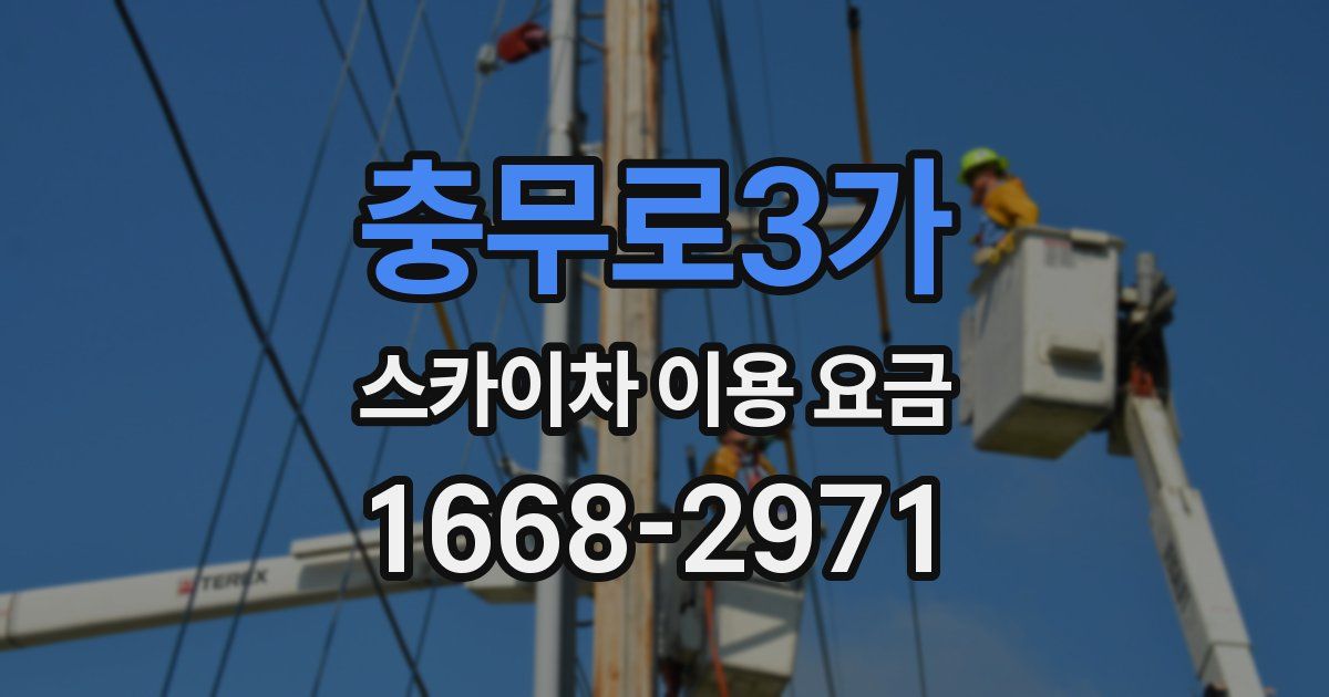 충무로3가 스카이차 이용 요금