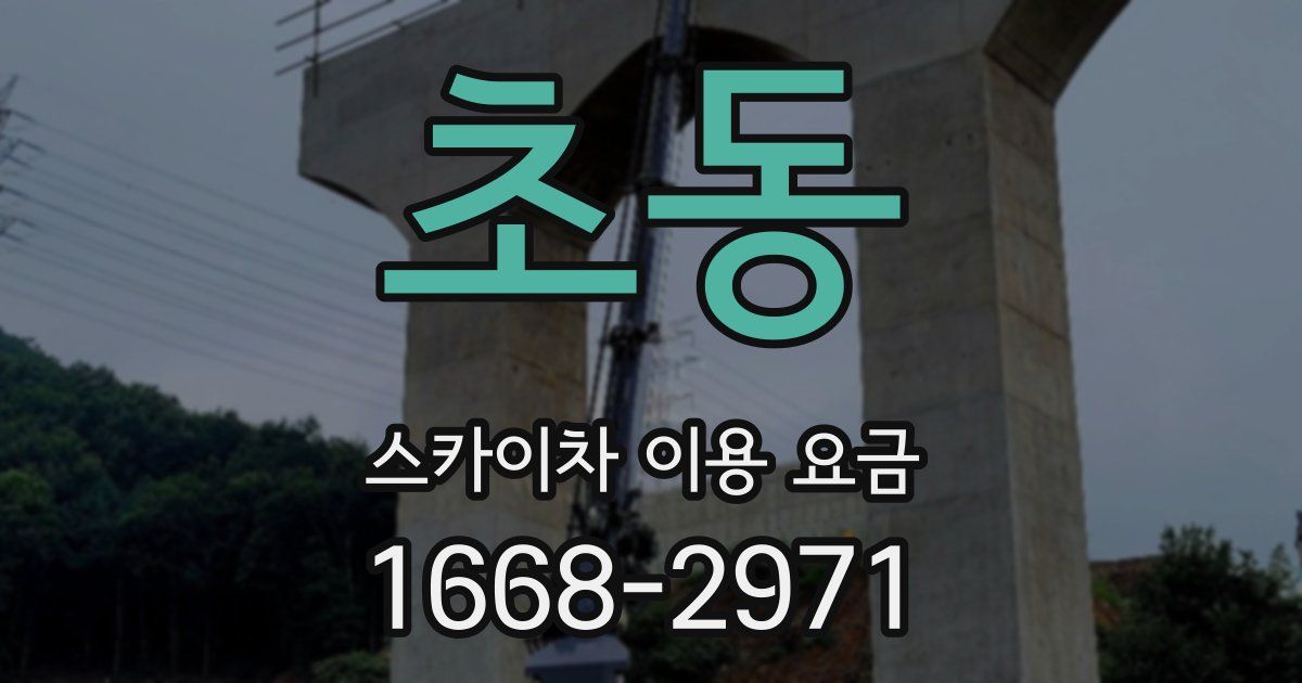 초동 스카이차 이용 요금