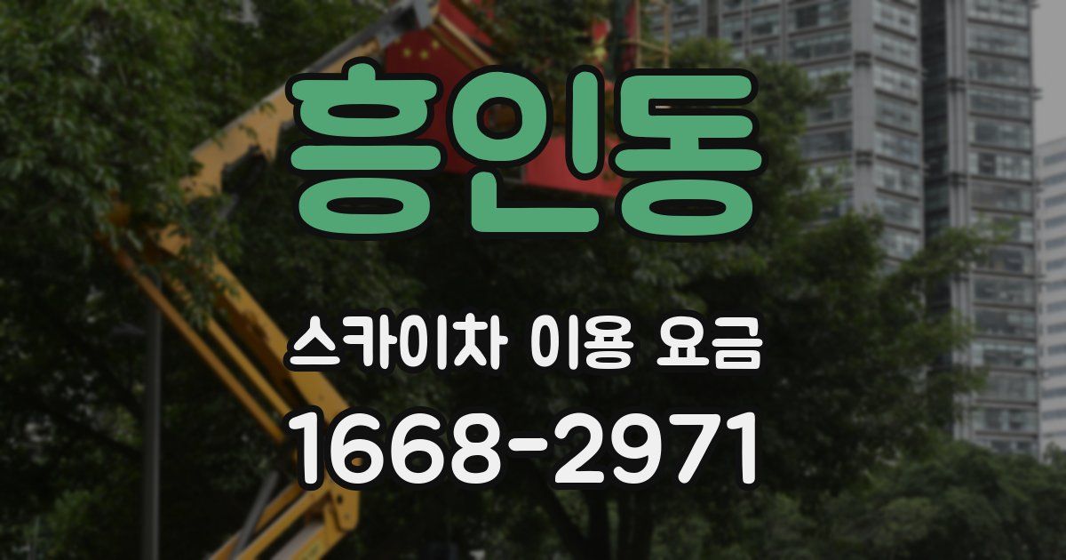 흥인동 스카이차 이용 요금