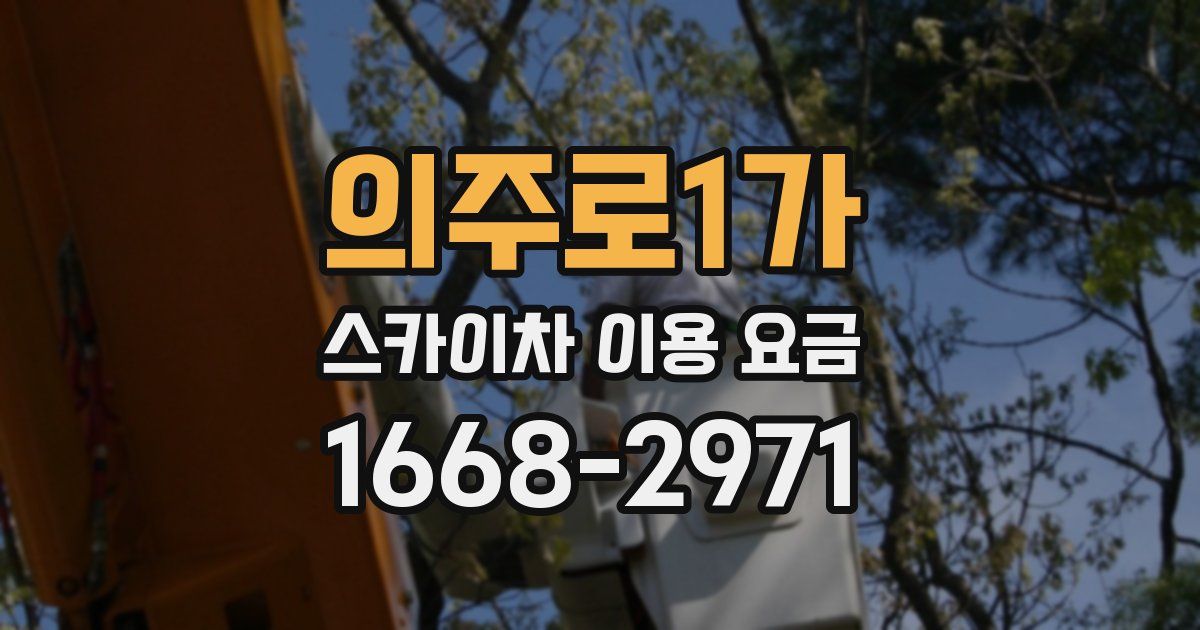 의주로1가 스카이차 이용 요금
