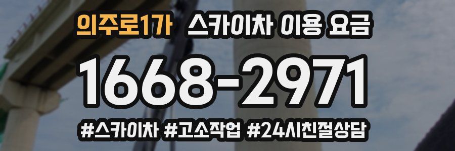 의주로1가 스카이차 이용 요금