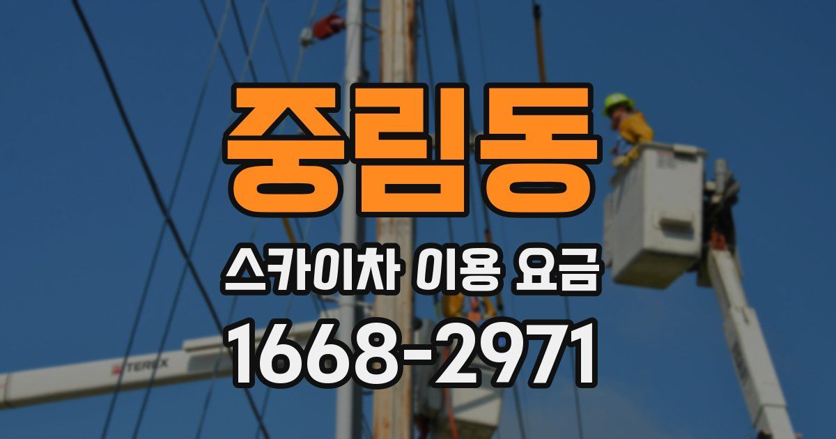 중림동 스카이차 이용 요금