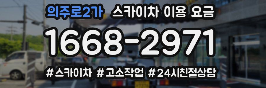 의주로2가 스카이차 이용 요금
