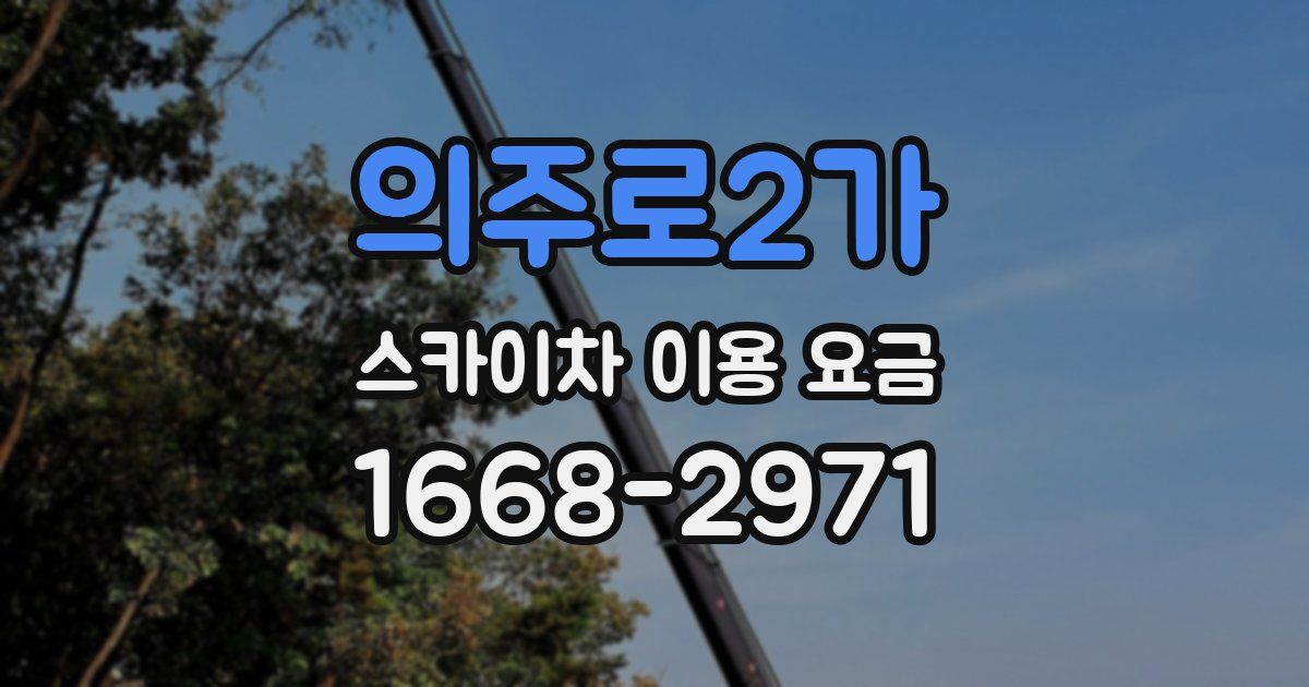 의주로2가 스카이차 이용 요금