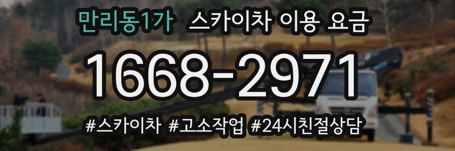 만리동1가 스카이차 이용 요금