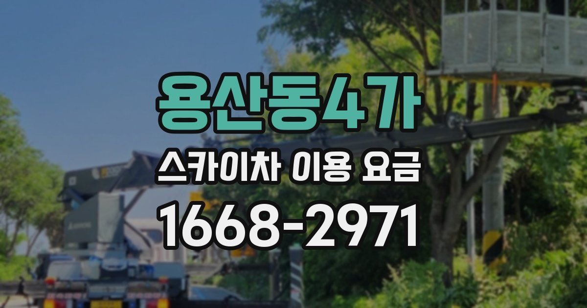 용산동4가 스카이차 이용 요금