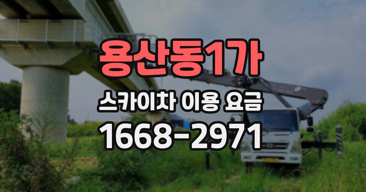 용산동1가 스카이차 이용 요금