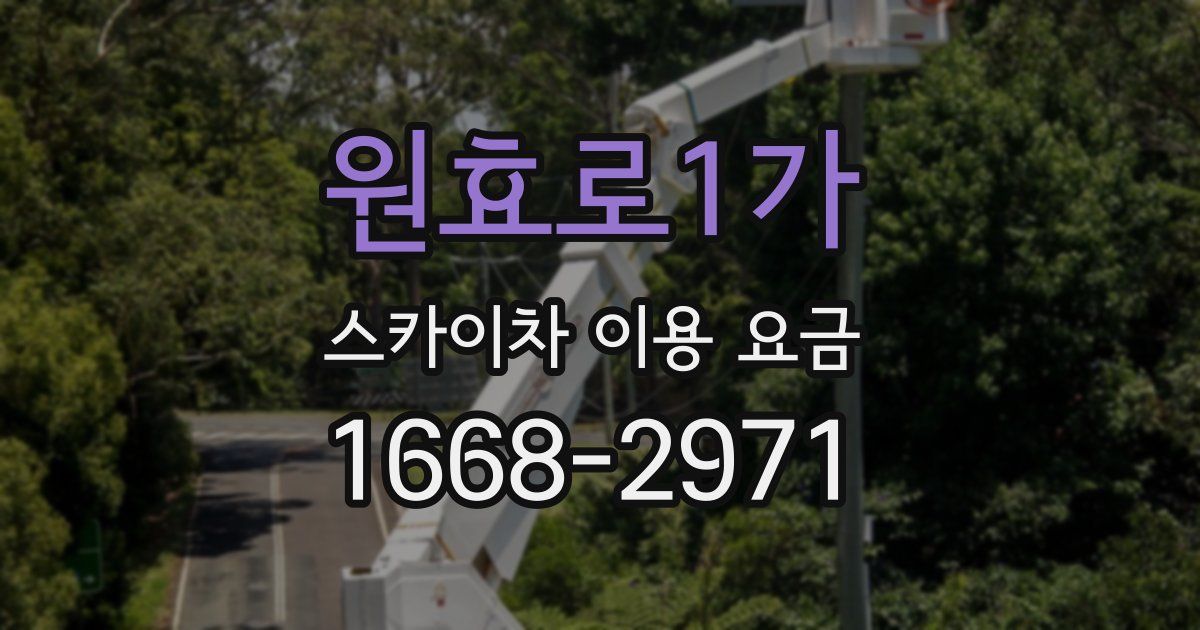 원효로1가 스카이차 이용 요금