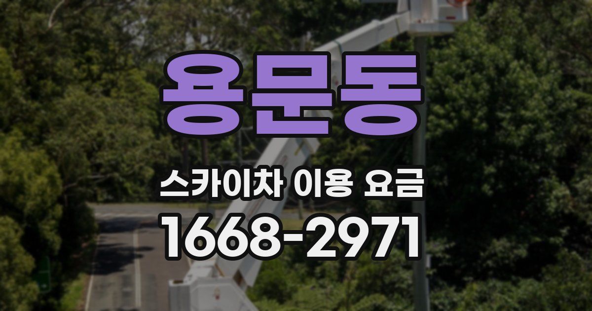 용문동 스카이차 이용 요금