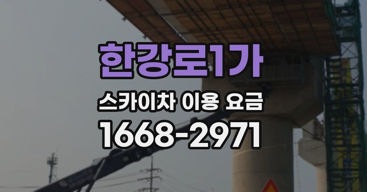 한강로1가 스카이차 이용 요금