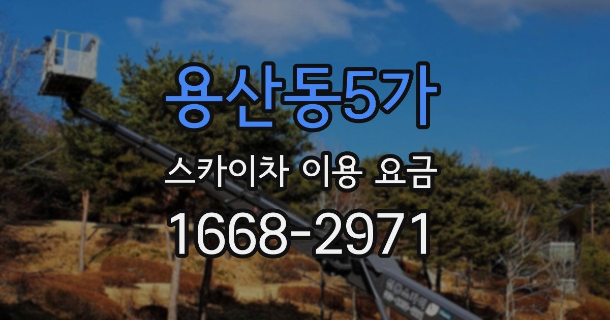 용산동5가 스카이차 이용 요금