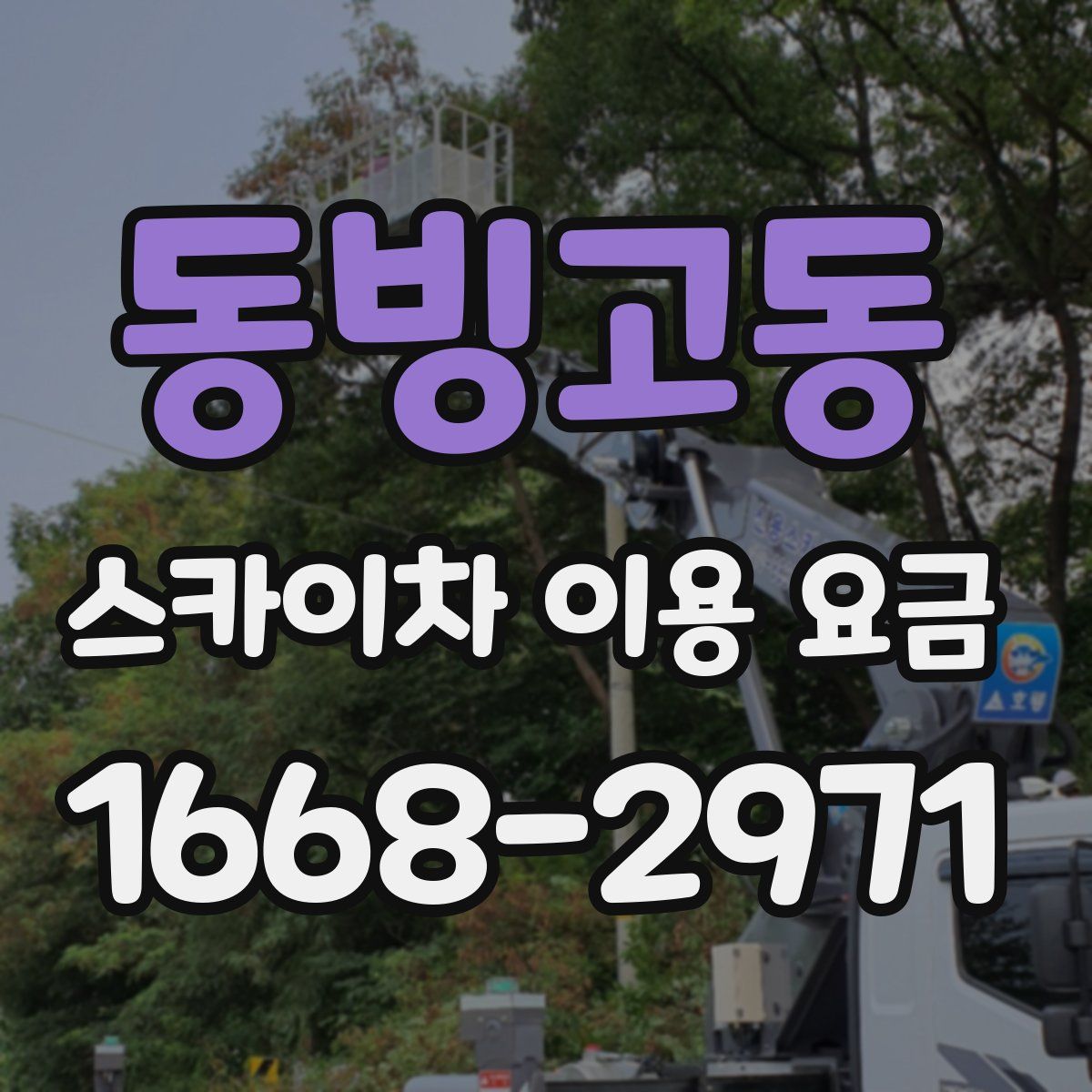 동빙고동 스카이차 이용 요금