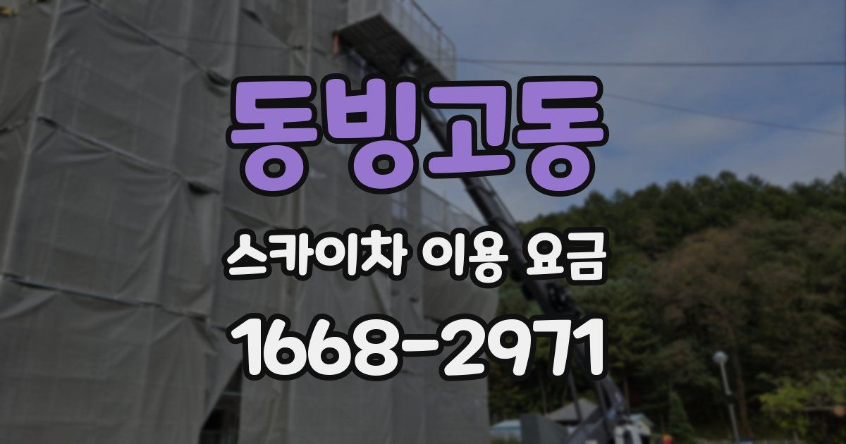 동빙고동 스카이차 이용 요금