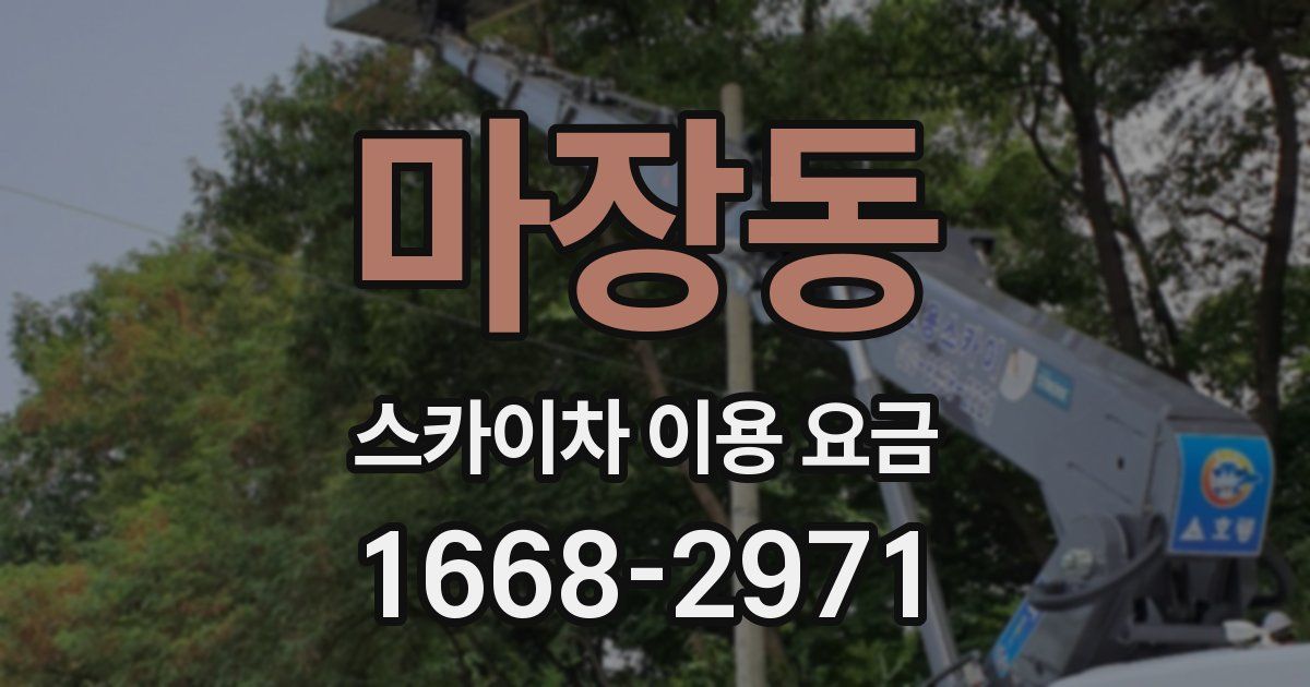 마장동 스카이차 이용 요금