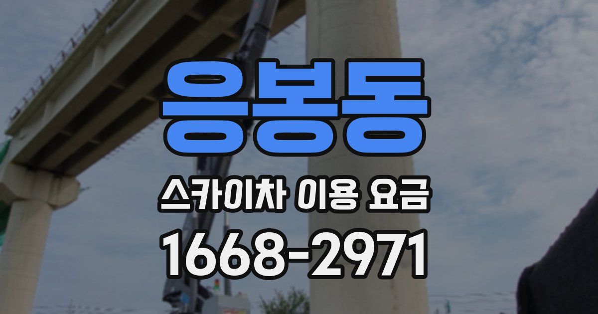 응봉동 스카이차 이용 요금