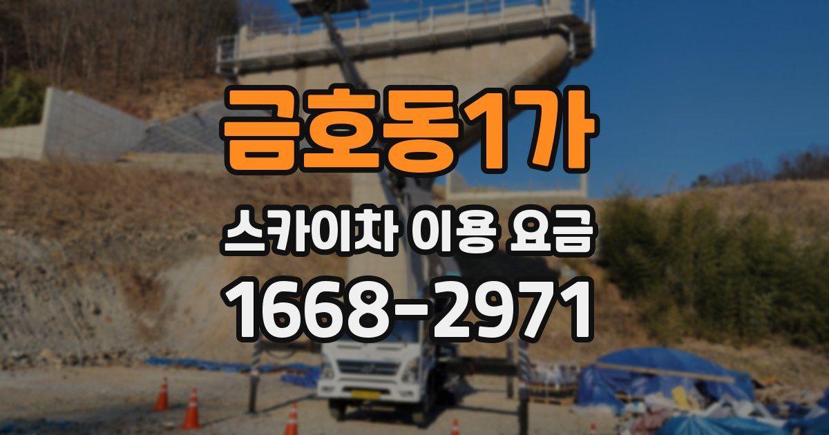 금호동1가 스카이차 이용 요금