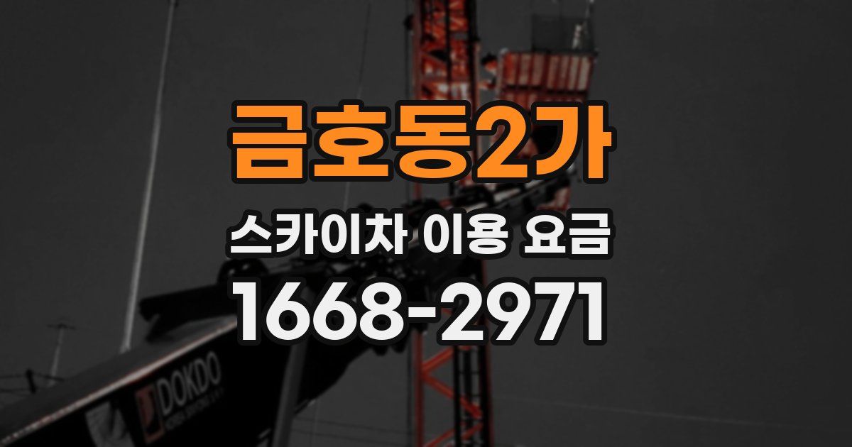 금호동2가 스카이차 이용 요금