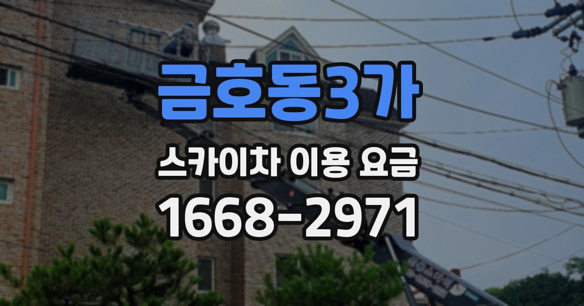 금호동3가 스카이차 이용 요금