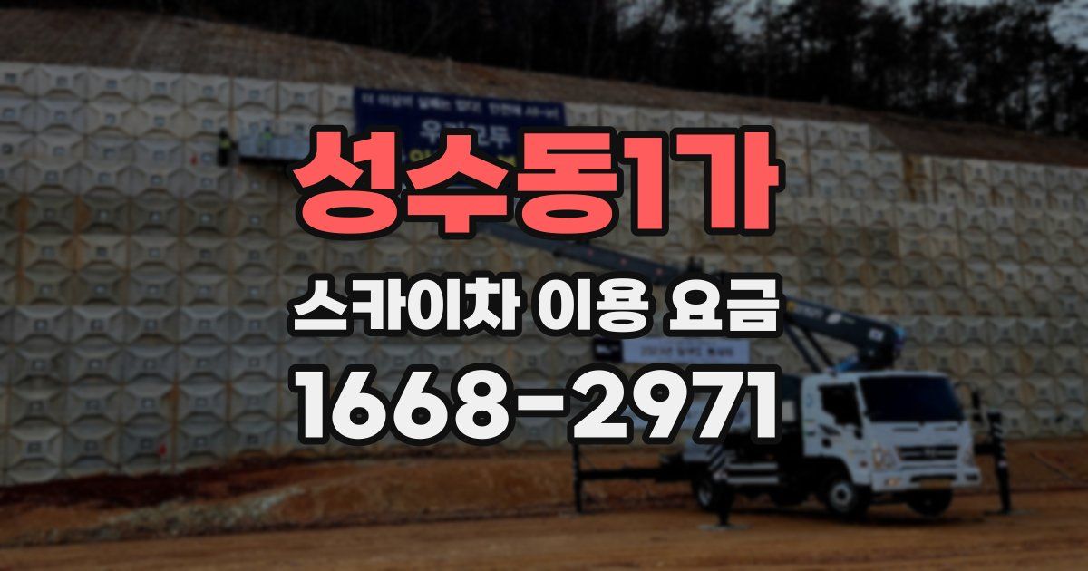 성수동1가 스카이차 이용 요금